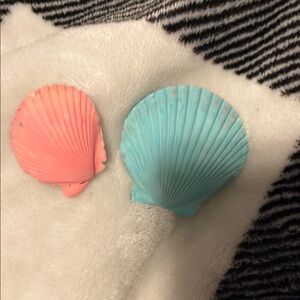 Colorful Seashell Decor Set